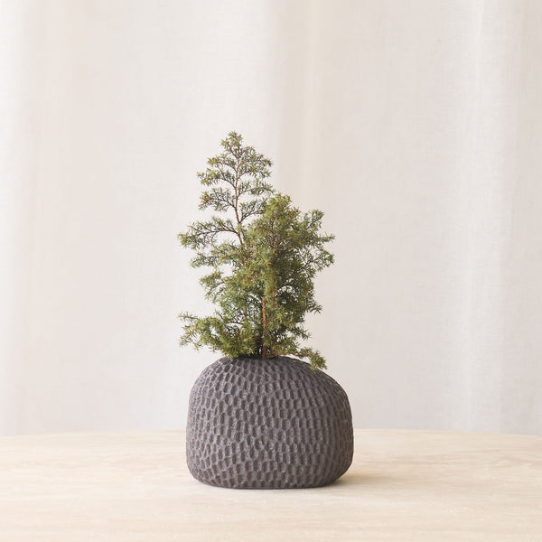 Zarho Vase | Brown